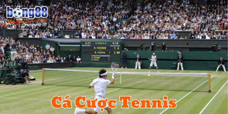 Cá Cược Tennis: 7 Kinh nghiệm từ chuyên gia giúp thắng đậm