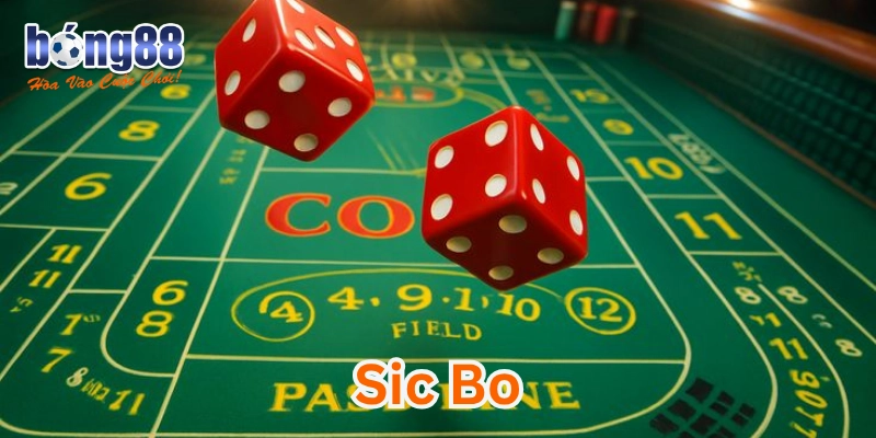 Bí kíp chơi an toàn, tránh cháy túi cho người mới